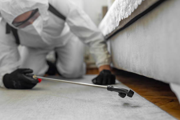Professional Termite Control technician working in Tucson, AZ