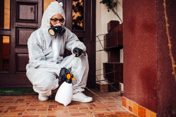 Reliable Termite Control contractor in Tucson, AZ by Nex Pest Control